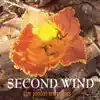 The Joedai Warriors - Second Wind